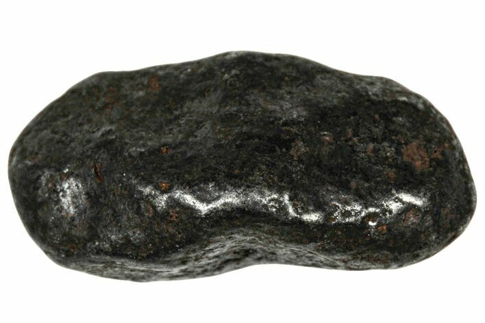 Agoudal Iron Meteorite ( g) - Morocco #303923